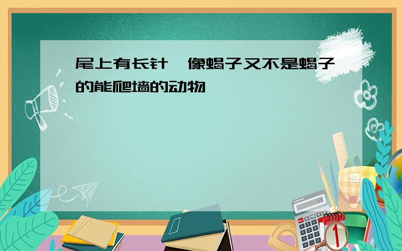 尾上有长针,像蝎子又不是蝎子的能爬墙的动物