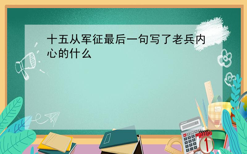 十五从军征最后一句写了老兵内心的什么