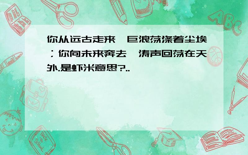 你从远古走来,巨浪荡涤着尘埃；你向未来奔去,涛声回荡在天外.是虾米意思?..