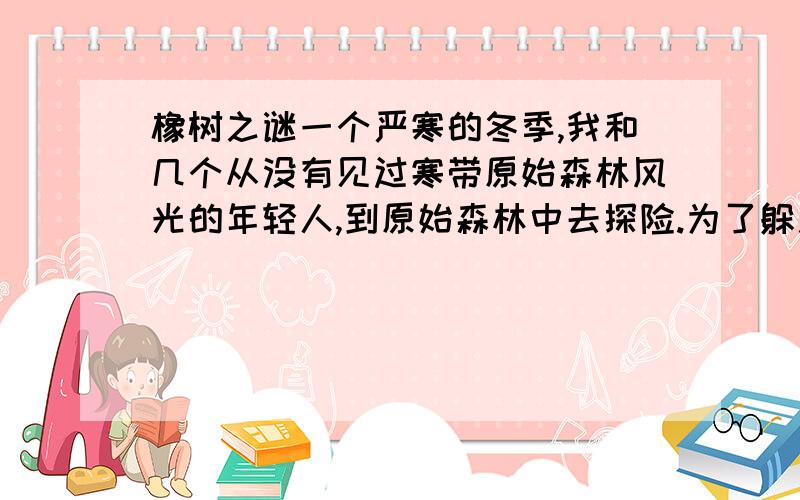 橡树之谜一个严寒的冬季,我和几个从没有见过寒带原始森林风光的年轻人,到原始森林中去探险.为了躲避一头因受惊扰而暴怒的黑熊,我们在惊恐中拼命地奔跑,等我喘着粗气停下来的时候,发