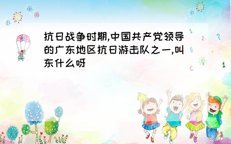 抗日战争时期,中国共产党领导的广东地区抗日游击队之一,叫东什么呀