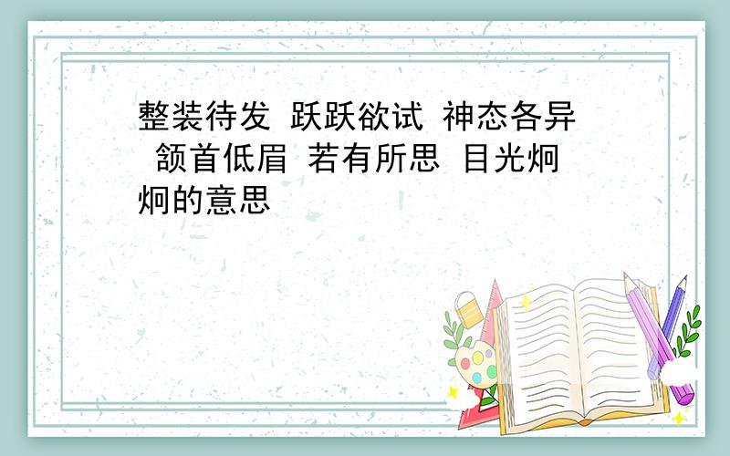 整装待发 跃跃欲试 神态各异 颔首低眉 若有所思 目光炯炯的意思