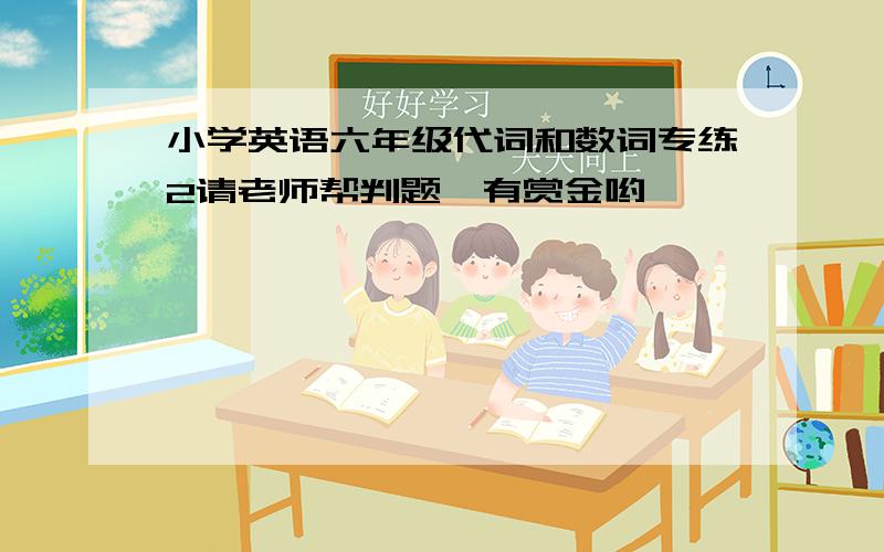 小学英语六年级代词和数词专练2请老师帮判题,有赏金哟