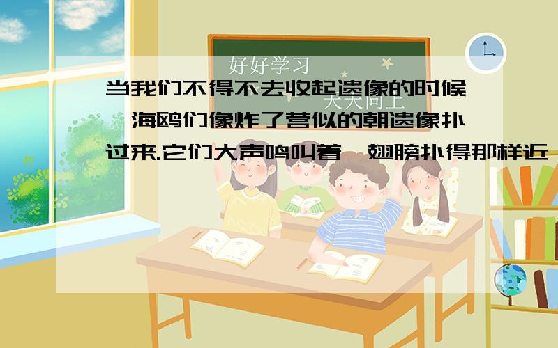 当我们不得不去收起遗像的时候,海鸥们像炸了营似的朝遗像扑过来.它们大声鸣叫着,翅膀扑得那样近,我们好不容易才从这片飞动的白色旋涡中脱出身来.我们体会到了什么