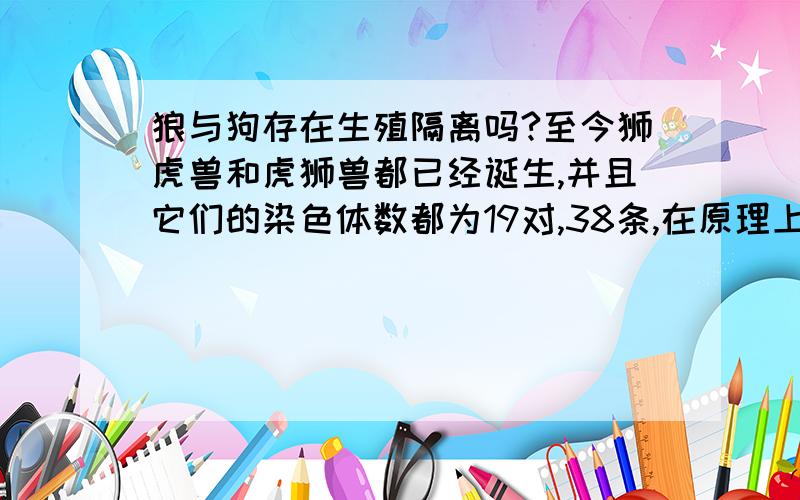 狼与狗存在生殖隔离吗?至今狮虎兽和虎狮兽都已经诞生,并且它们的染色体数都为19对,38条,在原理上是不同于马和驴生骡子的,或者说老虎与狮子根本就不存在真正的生殖隔离.而老虎与狮子已