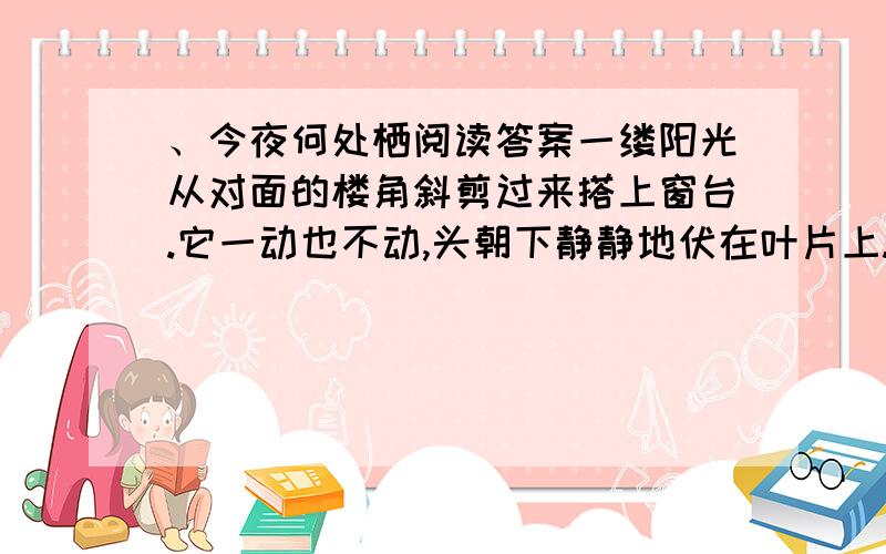 、今夜何处栖阅读答案一缕阳光从对面的楼角斜剪过来搭上窗台.它一动也不动,头朝下静静地伏在叶片上.此刻,我看清了它细长的折叠起来的后腿有多健美——自关节折叠处始至腹部,它的圆