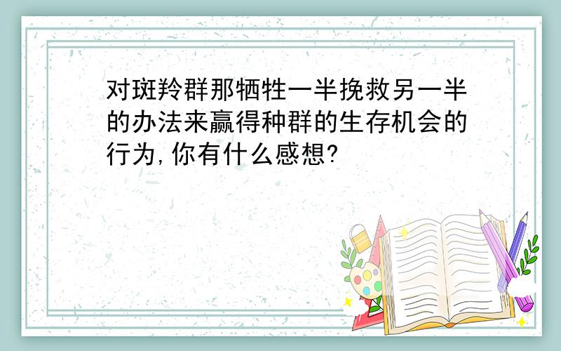 对斑羚群那牺牲一半挽救另一半的办法来赢得种群的生存机会的行为,你有什么感想?