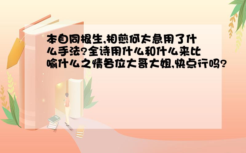 本自同根生,相煎何太急用了什么手法?全诗用什么和什么来比喻什么之情各位大哥大姐,快点行吗?