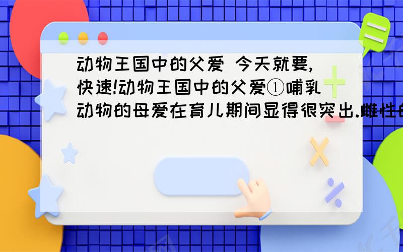 动物王国中的父爱 今天就要,快速!动物王国中的父爱①哺乳动物的母爱在育儿期间显得很突出.雌性的猫、狗和老虎在这个时期变得十分凶猛,常常张牙舞爪地对待不速之客.这是对幼儿的保护