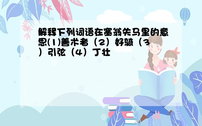 解释下列词语在塞翁失马里的意思(1)善术者（2）好骑（3）引弦（4）丁壮