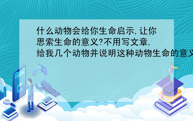 什么动物会给你生命启示,让你思索生命的意义?不用写文章,给我几个动物并说明这种动物生命的意义.