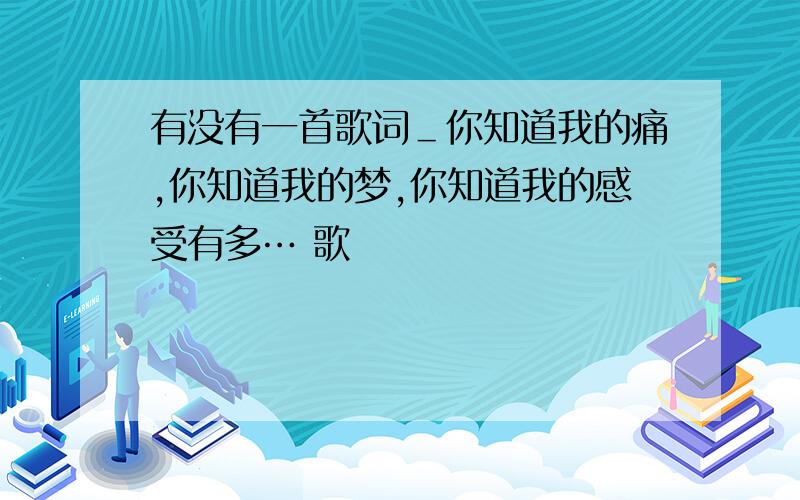 有没有一首歌词＿你知道我的痛,你知道我的梦,你知道我的感受有多… 歌