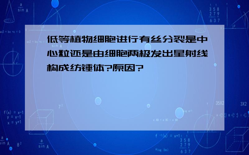 低等植物细胞进行有丝分裂是中心粒还是由细胞两极发出星射线构成纺锤体?原因?