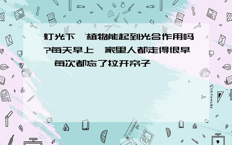 灯光下,植物能起到光合作用吗?每天早上,家里人都走得很早,每次都忘了拉开帘子……