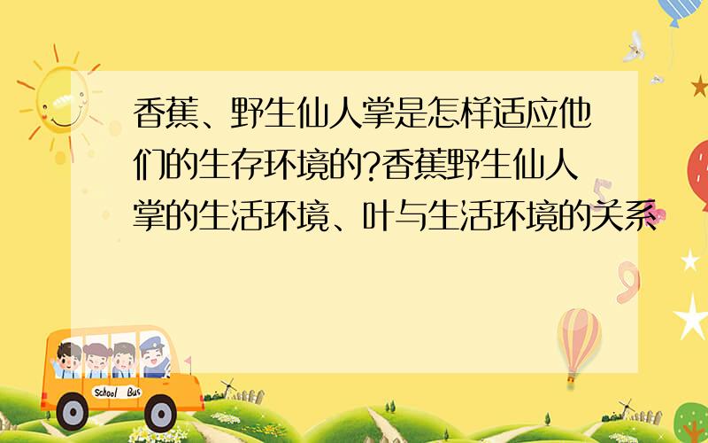 香蕉、野生仙人掌是怎样适应他们的生存环境的?香蕉野生仙人掌的生活环境、叶与生活环境的关系