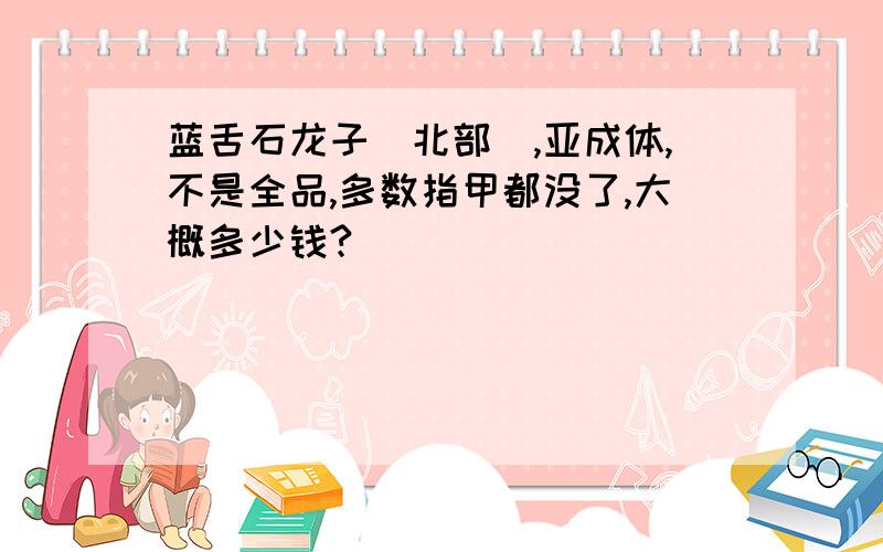 蓝舌石龙子（北部）,亚成体,不是全品,多数指甲都没了,大概多少钱?