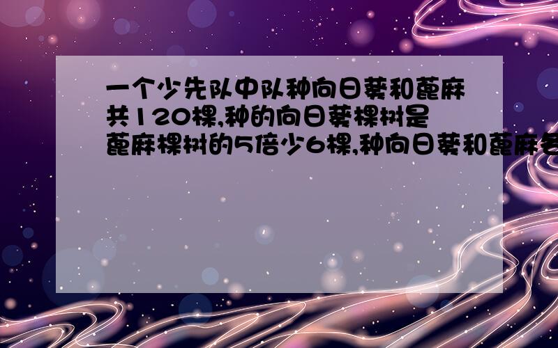 一个少先队中队种向日葵和蓖麻共120棵,种的向日葵棵树是蓖麻棵树的5倍少6棵,种向日葵和蓖麻各多少棵?