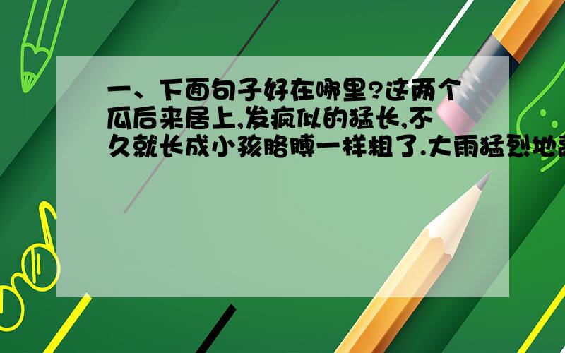 一、下面句子好在哪里?这两个瓜后来居上,发疯似的猛长,不久就长成小孩胳膊一样粗了.大雨猛烈地敲打着屋顶,冲击着玻璃,奏出激动人心的乐章.  二、“而丝瓜则心中有数,它怡然泰然悠然坦