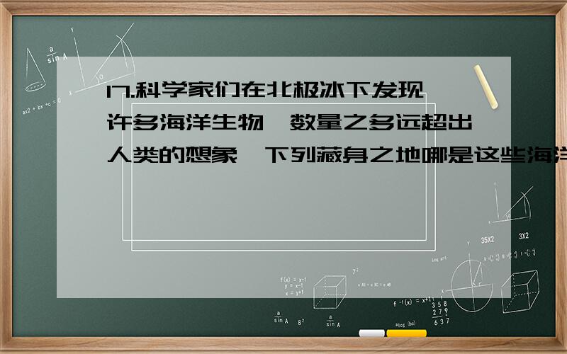 17.科学家们在北极冰下发现许多海洋生物,数量之多远超出人类的想象,下列藏身之地哪是这些海洋生物更喜欢的?A.最寒冷的海面冰层下B.海底由地质运动形成的坑里C.冰山周围