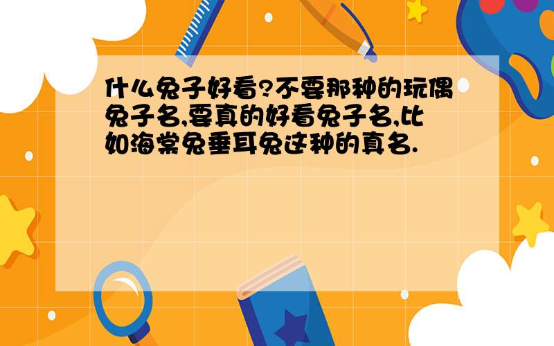 什么兔子好看?不要那种的玩偶兔子名,要真的好看兔子名,比如海棠兔垂耳兔这种的真名.