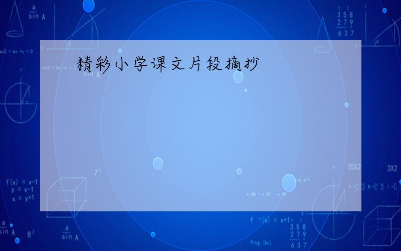 精彩小学课文片段摘抄