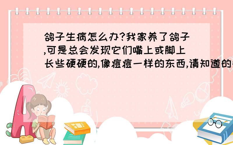 鸽子生病怎么办?我家养了鸽子,可是总会发现它们嘴上或脚上长些硬硬的,像痘痘一样的东西,请知道的教教我该怎么办?