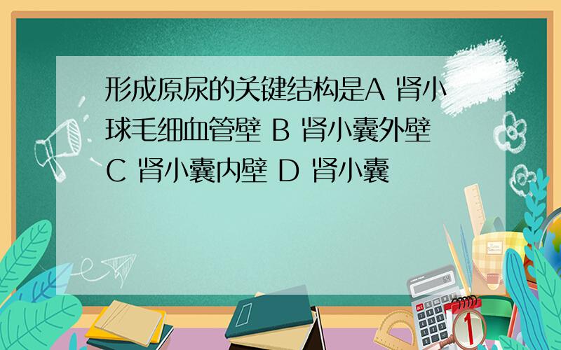 形成原尿的关键结构是A 肾小球毛细血管壁 B 肾小囊外壁C 肾小囊内壁 D 肾小囊