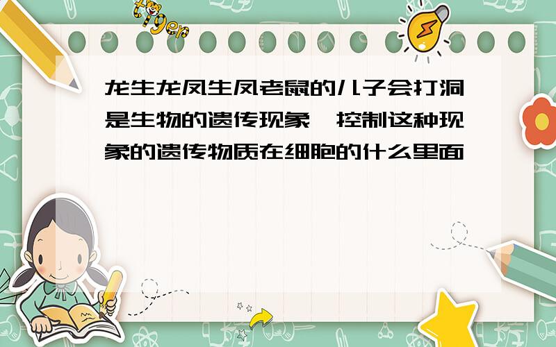 龙生龙凤生凤老鼠的儿子会打洞是生物的遗传现象,控制这种现象的遗传物质在细胞的什么里面