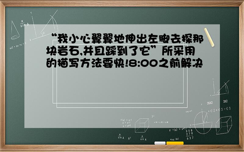 “我小心翼翼地伸出左脚去探那块岩石,并且踩到了它”所采用的描写方法要快!8:00之前解决