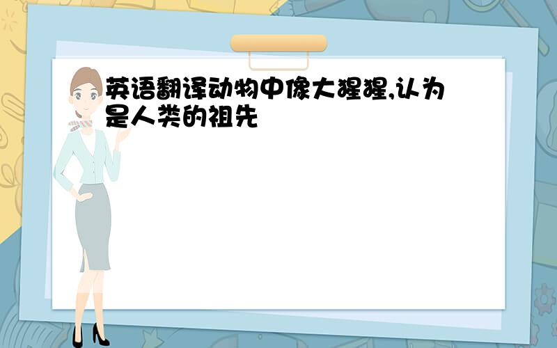 英语翻译动物中像大猩猩,认为是人类的祖先