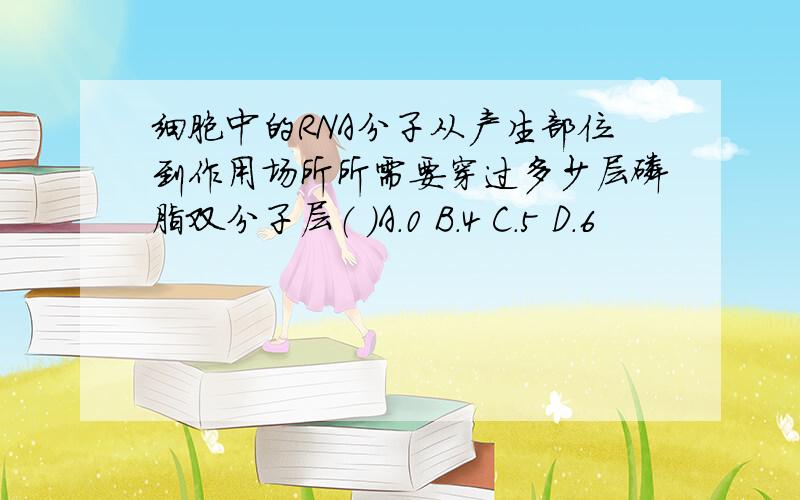 细胞中的RNA分子从产生部位到作用场所所需要穿过多少层磷脂双分子层（ ）A.0 B.4 C.5 D.6