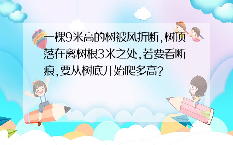 一棵9米高的树被风折断,树顶落在离树根3米之处,若要看断痕,要从树底开始爬多高?