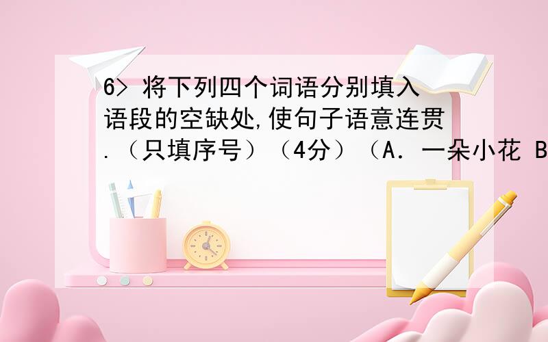 6> 将下列四个词语分别填入语段的空缺处,使句子语意连贯.（只填序号）（4分）（A．一朵小花 B．一片砖瓦 C．一个口信 D．一双清净的旧鞋）赶快为你的父母尽一份孝心.也许是一处豪宅,也