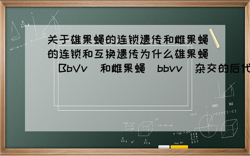 关于雄果蝇的连锁遗传和雌果蝇的连锁和互换遗传为什么雄果蝇（BbVv）和雌果蝇（bbvv）杂交的后代只有两种（完全连锁）,而雌果蝇（BbVv）和雄果蝇（bbvv）杂交的后代有四种（不完全连锁