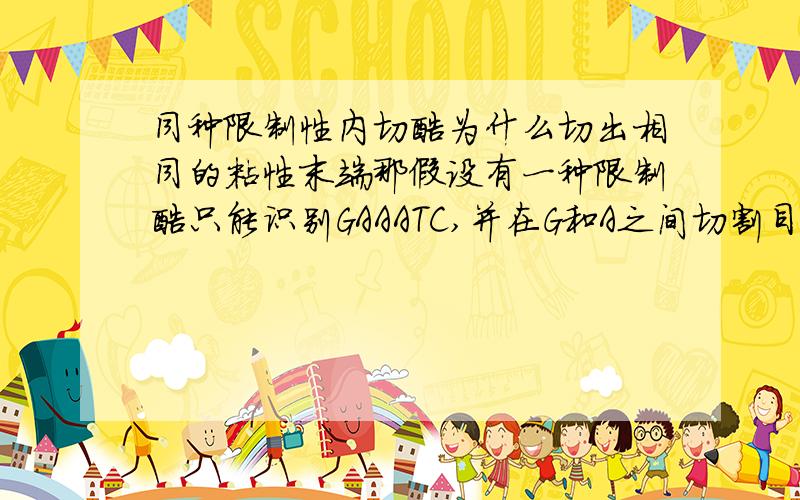 同种限制性内切酶为什么切出相同的粘性末端那假设有一种限制酶只能识别GAAATC,并在G和A之间切割目的基因,那么GAAATCCTTTAG得到的黏性末端就是G AAATCCTTTA G 这样粘性末端是不是也相同?为什么?