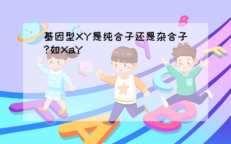 基因型XY是纯合子还是杂合子?如XaY