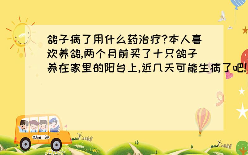 鸽子病了用什么药治疗?本人喜欢养鸽,两个月前买了十只鸽子养在家里的阳台上,近几天可能生病了吧!已死了四只,现在还有三只精神不好,请问问有没有懂的鸽病治疗的热心人士啊!想问问怎样