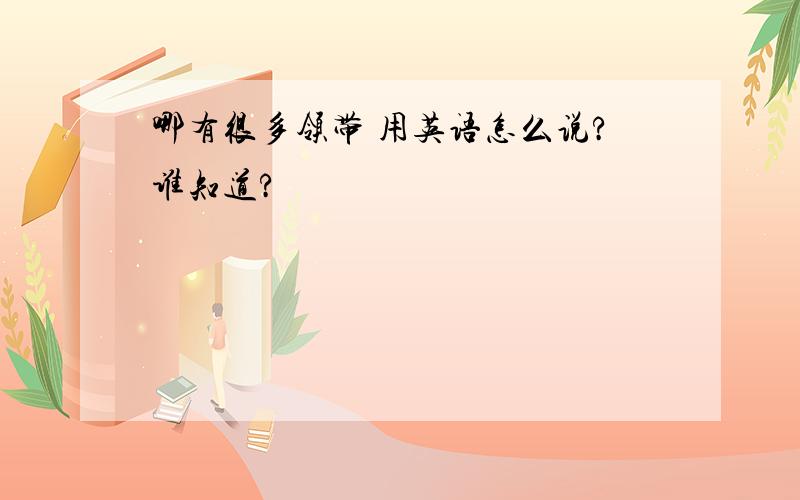 哪有很多领带 用英语怎么说?谁知道?