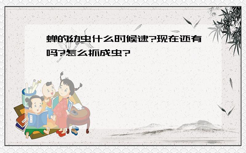 蝉的幼虫什么时候逮?现在还有吗?怎么抓成虫?