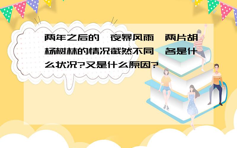 两年之后的一夜暴风雨,两片胡杨树林的情况截然不同,各是什么状况?又是什么原因?