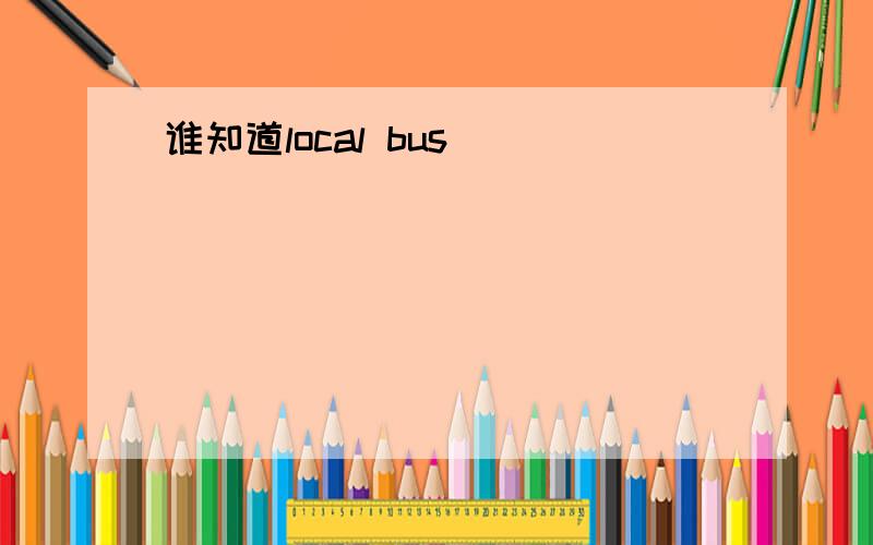 谁知道local bus