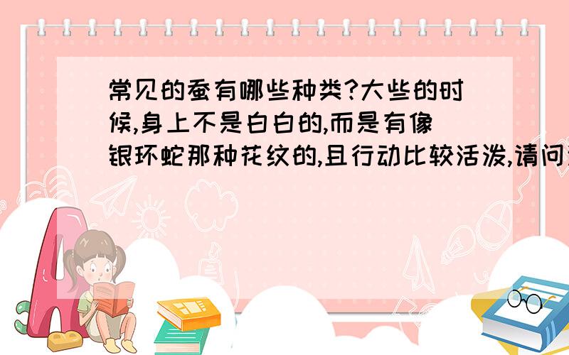 常见的蚕有哪些种类?大些的时候,身上不是白白的,而是有像银环蛇那种花纹的,且行动比较活泼,请问这是什么蚕啊?也吃桑叶的.