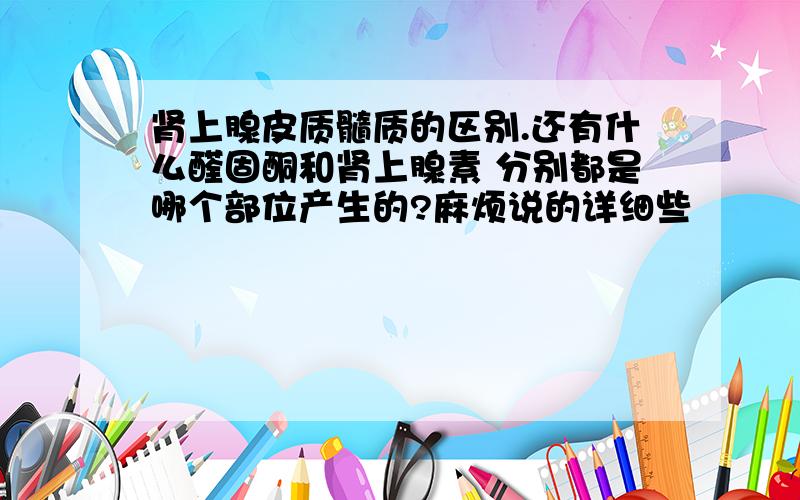 肾上腺皮质髓质的区别.还有什么醛固酮和肾上腺素 分别都是哪个部位产生的?麻烦说的详细些