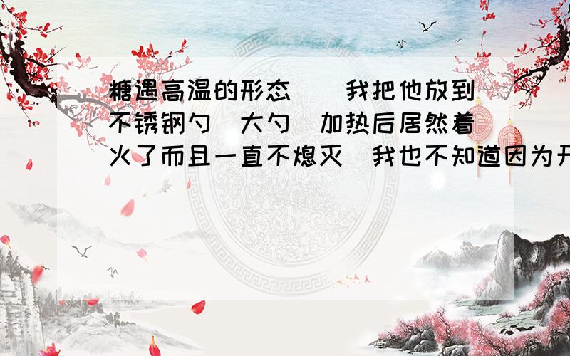 糖遇高温的形态``我把他放到不锈钢勺(大勺)加热后居然着火了而且一直不熄灭(我也不知道因为开始是熄灭了``第二次加热一直没熄只好加了点水)最后变成了黑糊糊跟碳一样的东西``开始是融