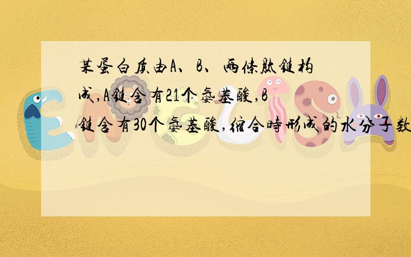 某蛋白质由A、B、两条肽链构成,A链含有21个氨基酸,B链含有30个氨基酸,缩合时形成的水分子数为?