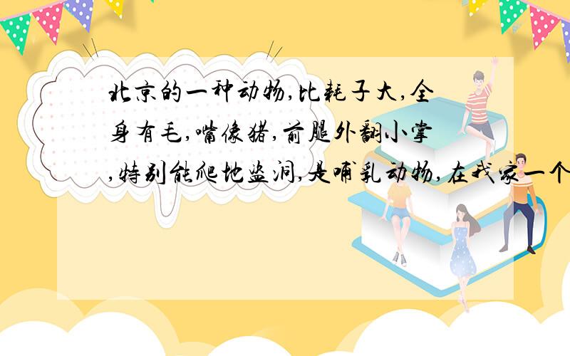 北京的一种动物,比耗子大,全身有毛,嘴像猪,前腿外翻小掌,特别能爬地盗洞,是哺乳动物,在我家一个箱子下发现了一窝,不知道这动物学名是什么