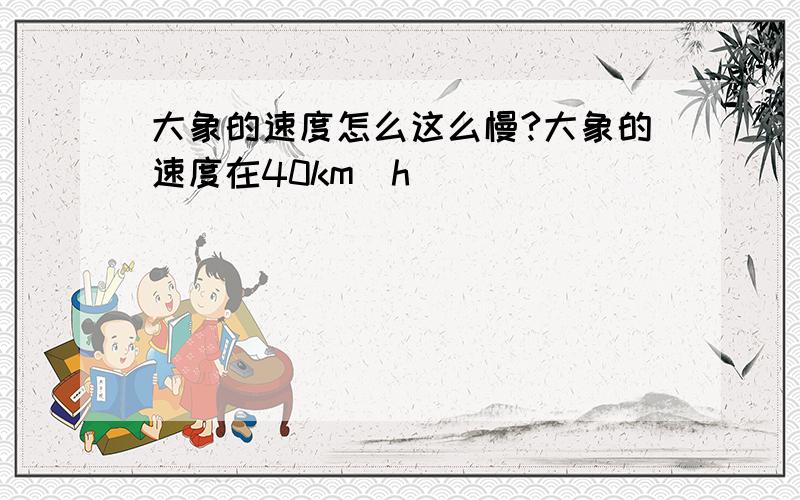 大象的速度怎么这么慢?大象的速度在40km／h