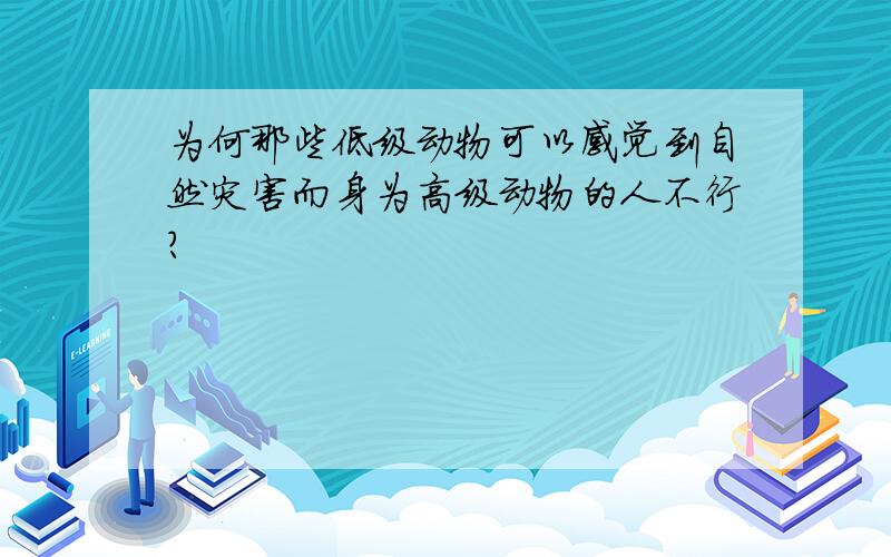 为何那些低级动物可以感觉到自然灾害而身为高级动物的人不行?