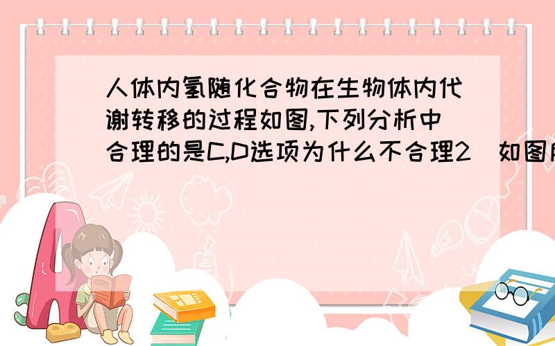 人体内氢随化合物在生物体内代谢转移的过程如图,下列分析中合理的是C,D选项为什么不合理2．如图所示,为人体内氢随化合物在生物体内代谢转移的过程,分析合理的是　A．①过程发生在核