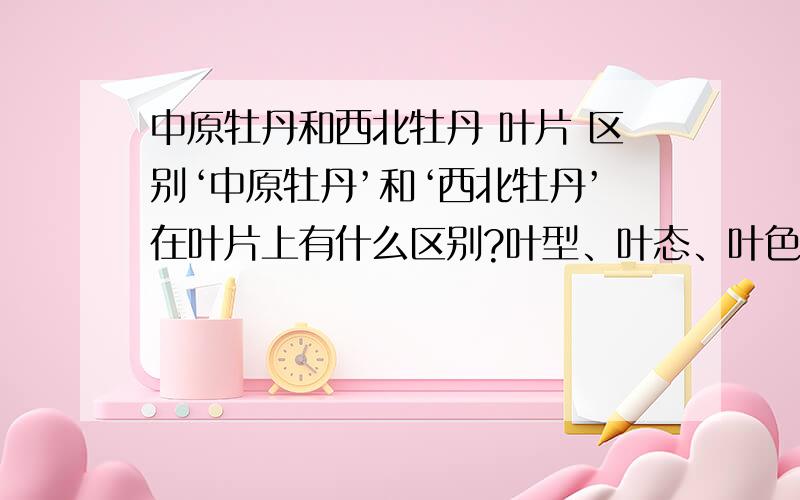 中原牡丹和西北牡丹 叶片 区别‘中原牡丹’和‘西北牡丹’在叶片上有什么区别?叶型、叶态、叶色、大小、叶尖角度等!